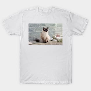 Siamese Cat Digital Painting T-Shirt